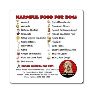 Dog Safety Magnet - Harmful Foods Warning