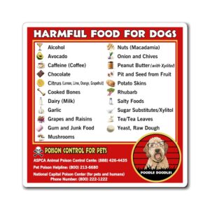 harmful foods for dogs and poison control phone numbers